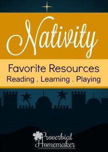 Great books, teaching tools, and toys on the nativity.