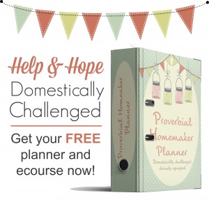 Flexible, simple, and individualized planner that really works!