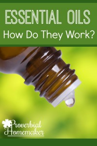 This is so cool! Explains the science behind how essential oils work.