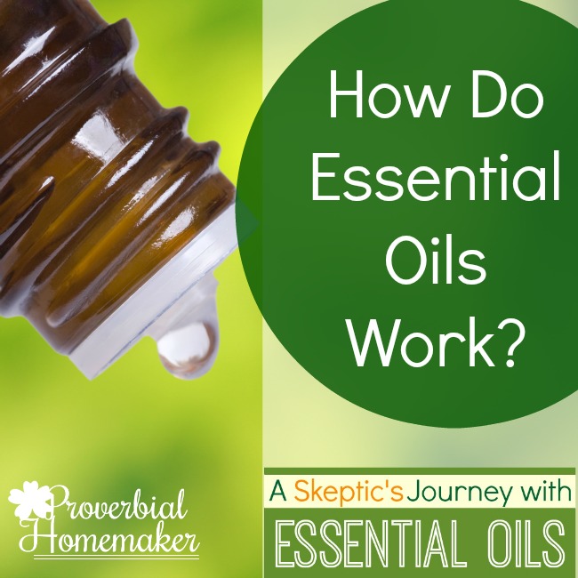 DIY Essential Oils Colognes for Men - Proverbial Homemaker