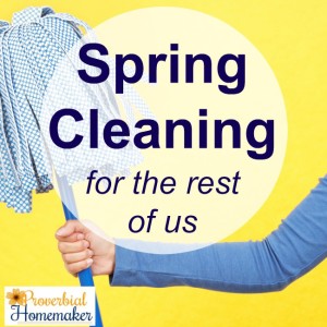 Spring cleaning for the rest of us!! Love this great cleaning challenge just for the type B homemaker.