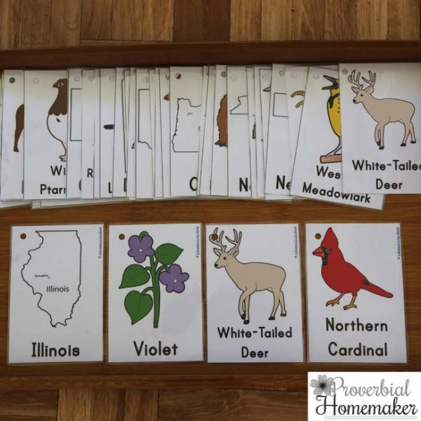 US State Cards {Subscriber Freebie} - Proverbial Homemaker