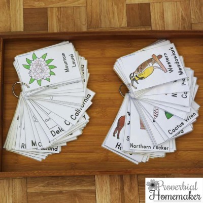 US State Cards {Subscriber Freebie} - Proverbial Homemaker