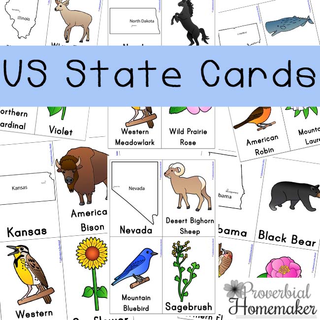 Love these U.S. State Card printables for teaching kids the state shapes, animal, flower, and more!