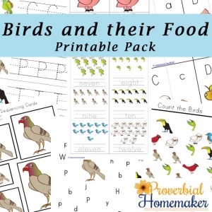 Birds and Their Food Printable Pack