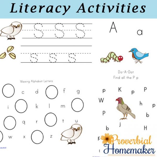 Birds and Their Food Printable Pack - Proverbial Homemaker