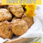 Dandelion Unit Study