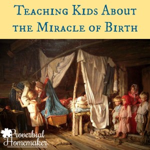 Teaching Kids About the Miracle of Birth - Wonderfully Made by Danika Cooley