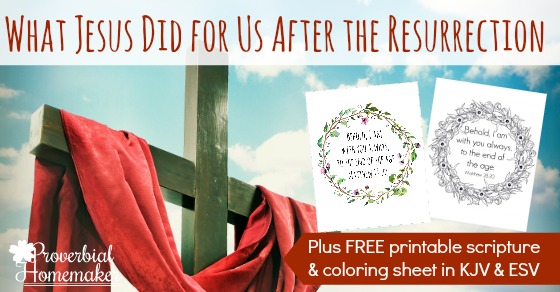 Love these thoughts on what Jesus did for us after the resurrection,. Especially the beautiful coloring page and scripture print!
