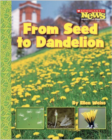 From Seed to Dandelion