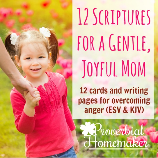Love this simple system for memorizing scripture and praying through it! 12 Scriptures for Overcoming Anger with scripture cards and writing page FREE