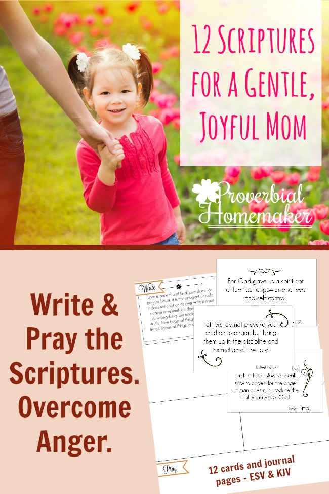 Love this simple system for memorizing scripture and praying through it! 12 Scriptures for Overcoming Anger with scripture cards and writing page FREE