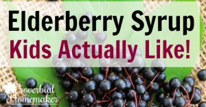 Uses and Benefits of Elderberry Syrup for Large Family Living