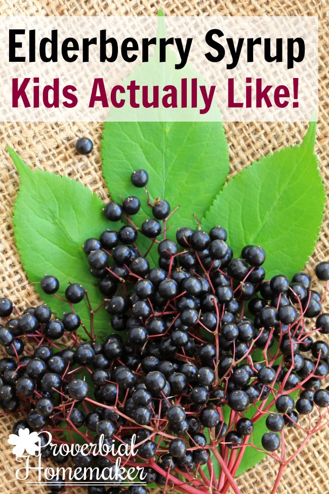 Best elderberry syrup for kids - that they actually like! Find out how to make elderberry syrup from toddlers to adults that tastes good.