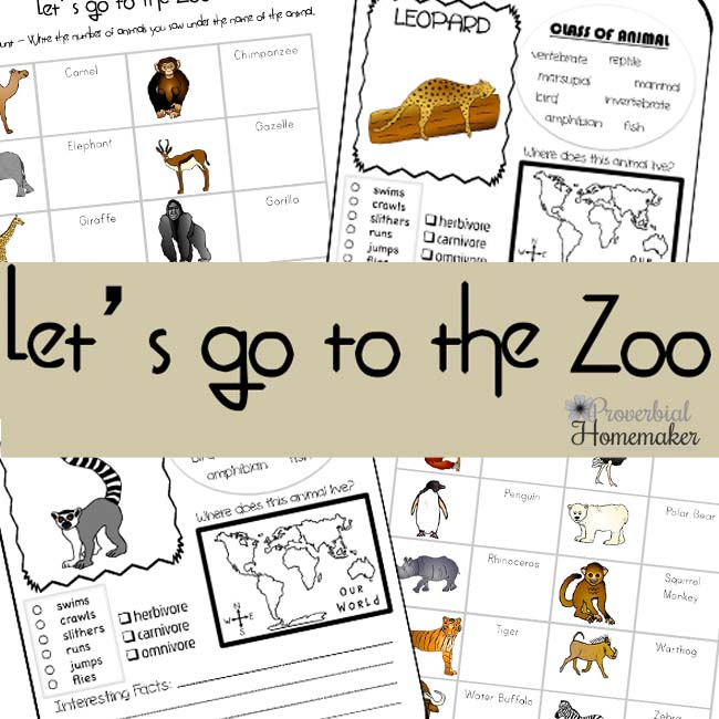 Let's go to the Zoo - Zoo printable pack!