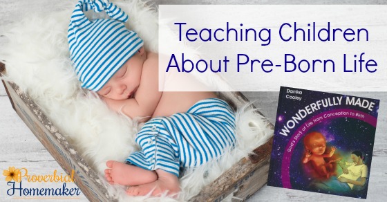 Teaching Children about pre-born life with the new book Wonderfully Made: God's Story of Life from Conception to Birth