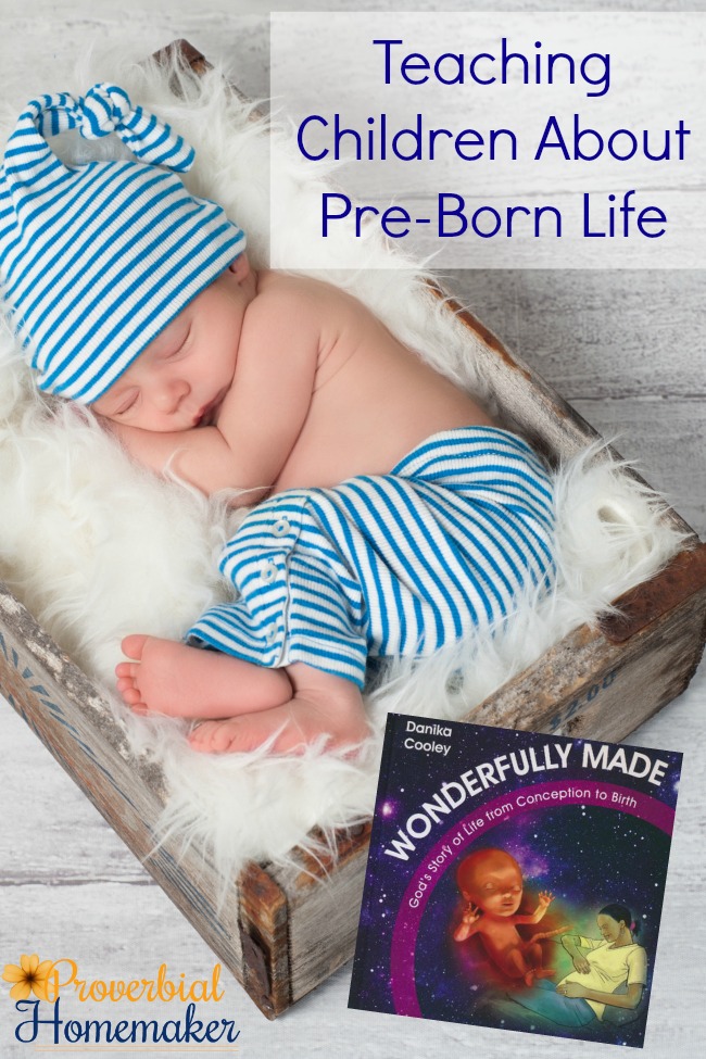 Teaching Children about pre-born life with the new book Wonderfully Made: God's Story of Life from Conception to Birth