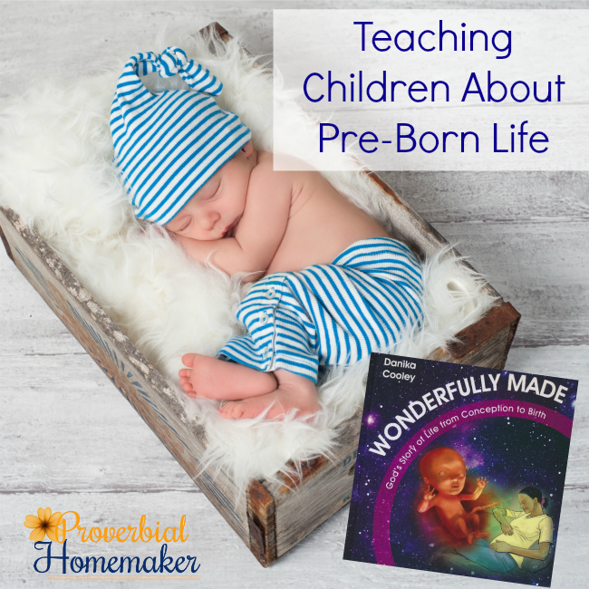Teaching Children about pre-born life with the new book Wonderfully Made: God's Story of Life from Conception to Birth