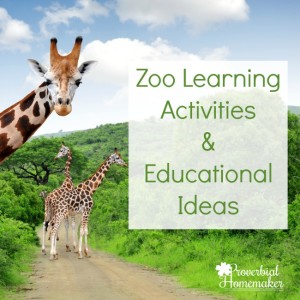 Zoo Learning Activities & Educational Ideas For Fun!