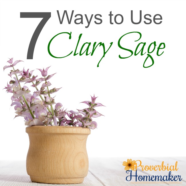 Check out these great tips and recipes for ways to use clary sage essential oil!