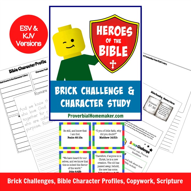 Heroes of the Bible Lego Challenge and Character Study