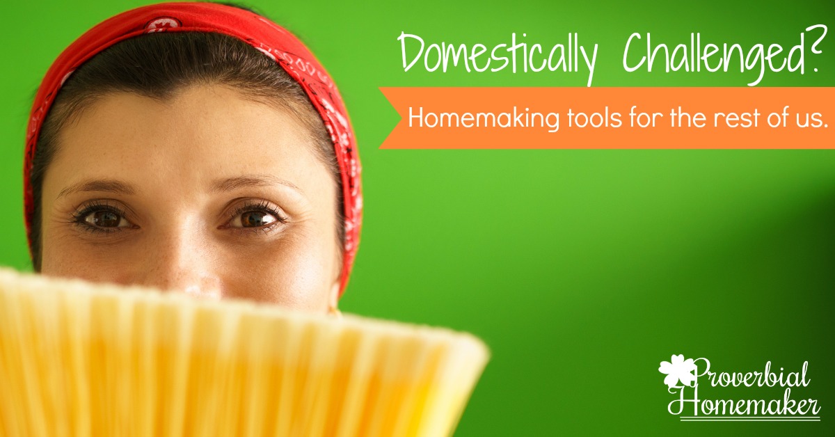 Help and Hope for the Domestically Challenged: Homemaking tips and resources for the rest of us.