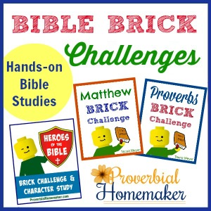 Teach God's Word with fun studies and build challenges!