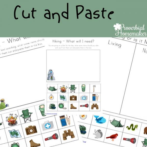 Camping Printable Pack - Proverbial Homemaker