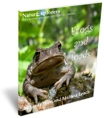 Frogs-and-Toads-3D-Cover