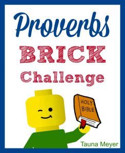 Proverbs Brick Challenge