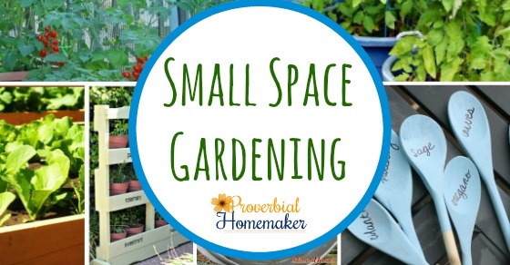 Small space gardening! So many fun ideas and tips here.