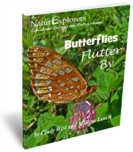Butterflies-Flutter-By-3D-Cover-2-262x300