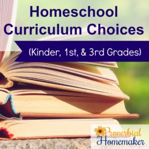 Great homeschool curriculum choices and ideas for 3rd grade on down!