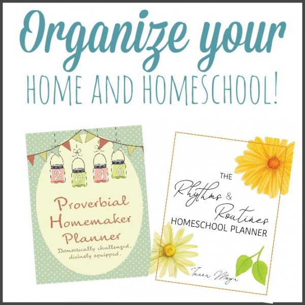 Balance for the Busy Homeschool Mom - Proverbial Homemaker
