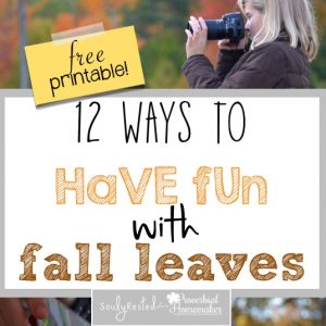Here are a dozen fun and unique ways to have fun with fall leaves!