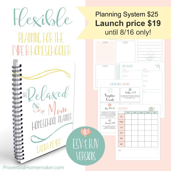 The Relaxed Mom Homeschool Planner & eCourse helps you set up a flexible system that works for you!