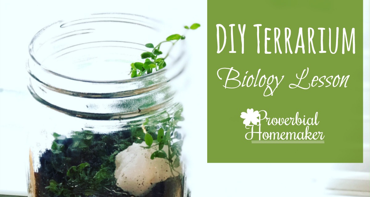 A simple and fun DIY Terrarium biology project! Great homeschooling lesson to go along with a plant unit. 