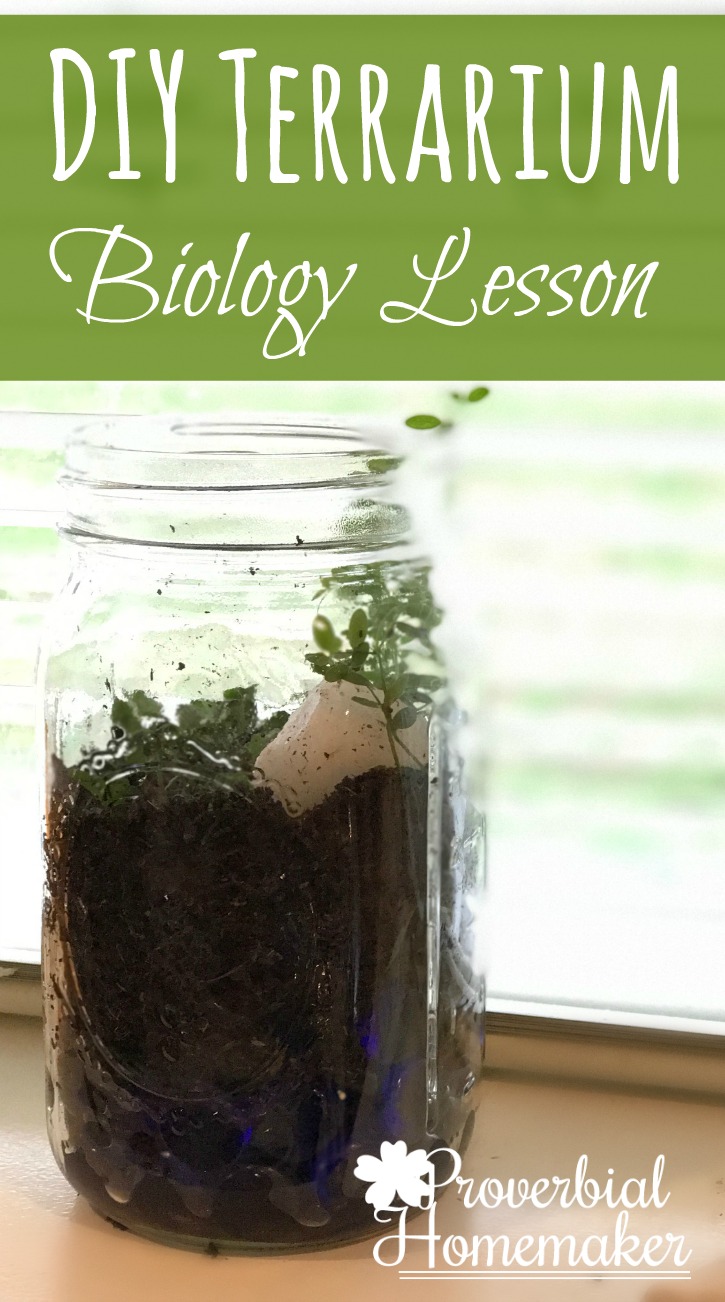 A simple and fun DIY Terrarium biology project! Great homeschooling lesson to go along with a plant unit. 