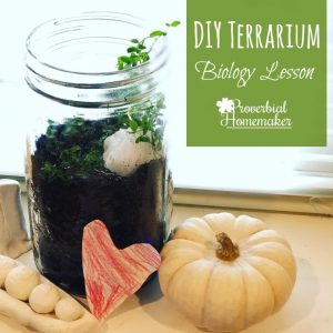 A simple and fun DIY Terrarium biology project! Great homeschooling lesson to go along with a plant unit.