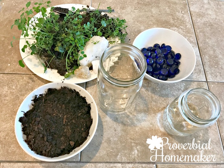 DIY Terrarium - materials for helping the kids make a terrarium to study plants