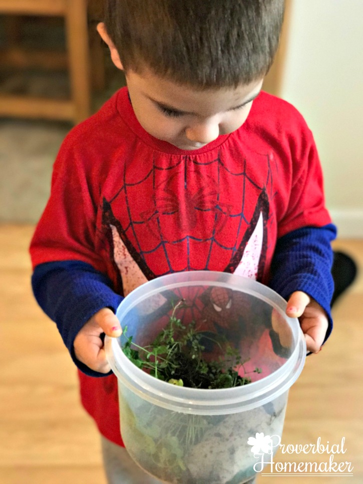 DIY Terrarium - when the toddler wants to make his own terrarium :) 