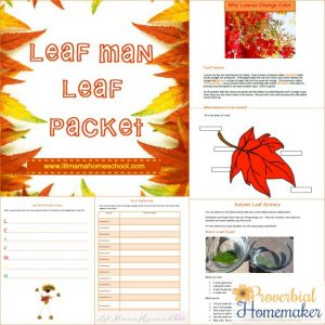 Leaf Man unit study printable pack - a great resource for activities on this wonderful children's book!