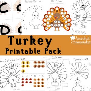 FUN turkey printable pack for ages 2-9! Great for learning about turkeys or for a Thanksgiving activity.