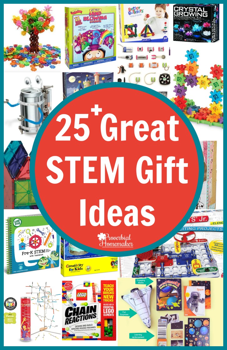 Have a little builder or engineer? Check out these 25 great STEM gift ideas! 