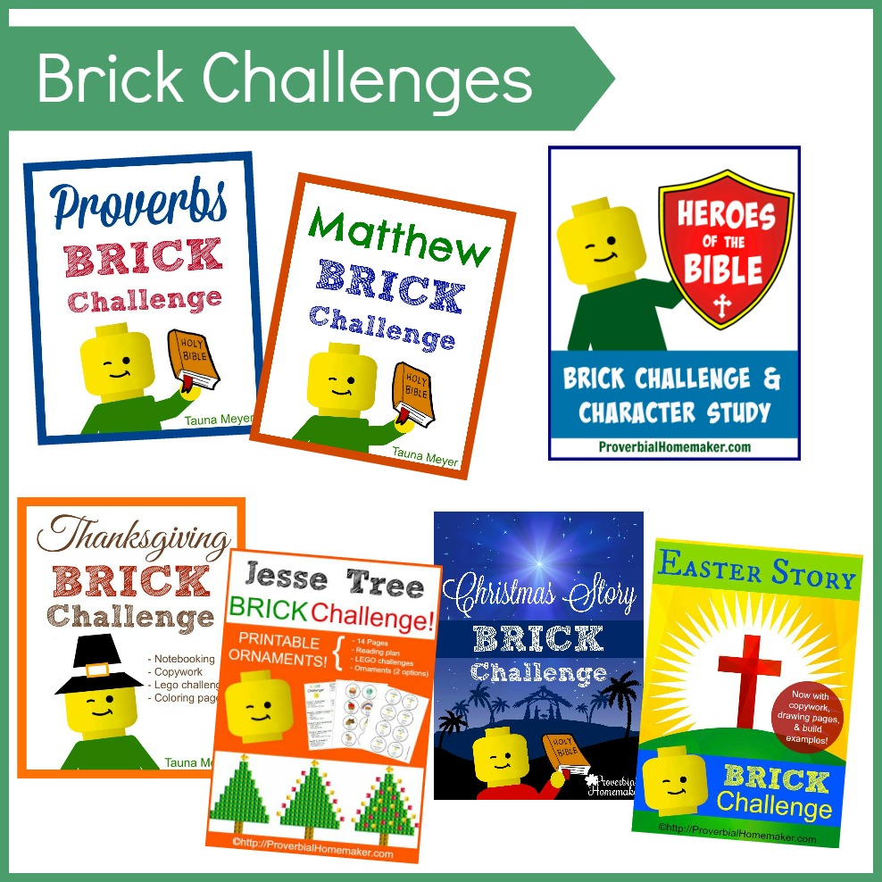 Learn the Bible or enhance your holiday fun with engaging hands-on brick challenges! Break out the Legos!