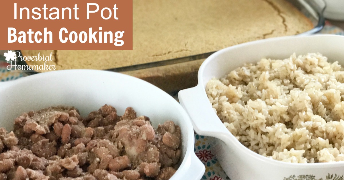 Save even more time and effort in the kitchen with these ideas for Instant Pot batch cooking!