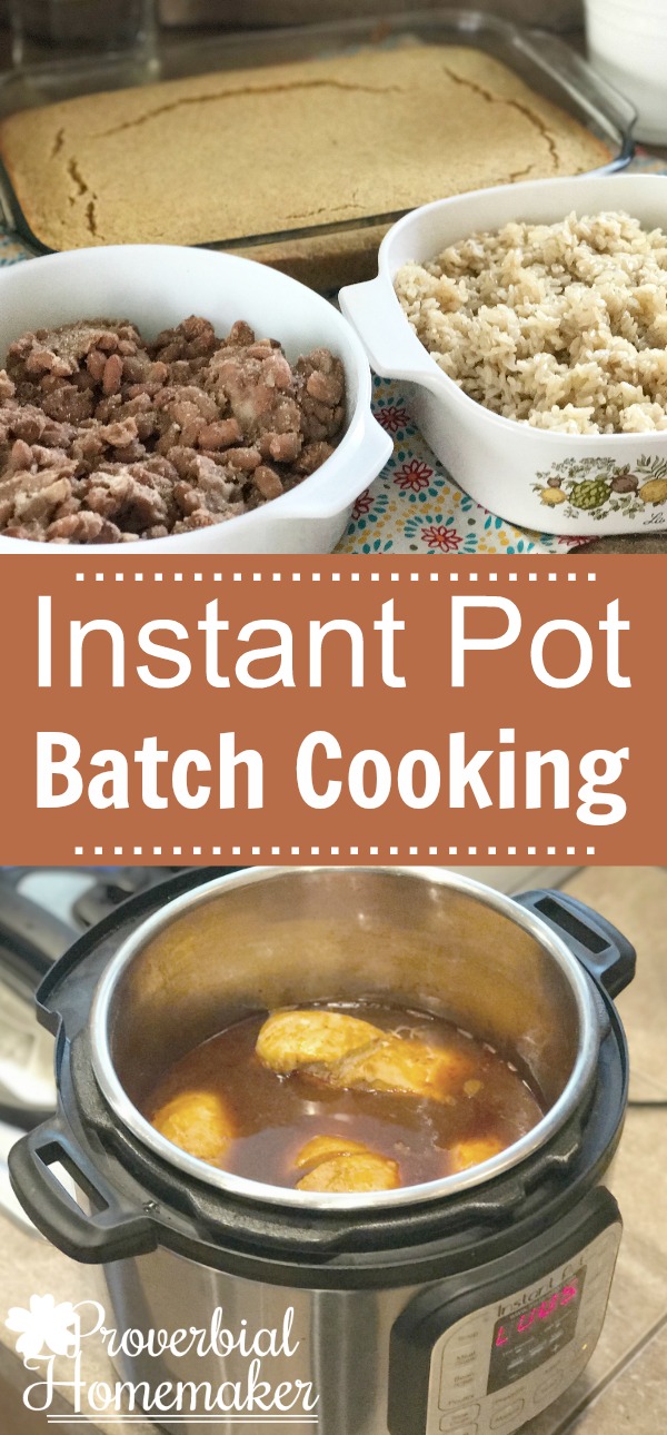 Save even more time and effort in the kitchen with these ideas for Instant Pot batch cooking!