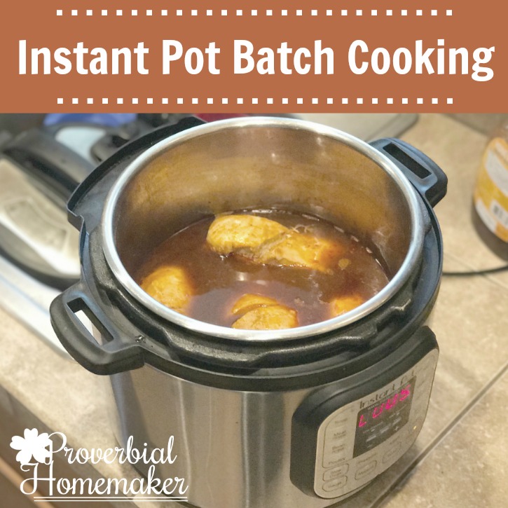 Save even more time and effort in the kitchen with these ideas for Instant Pot batch cooking!