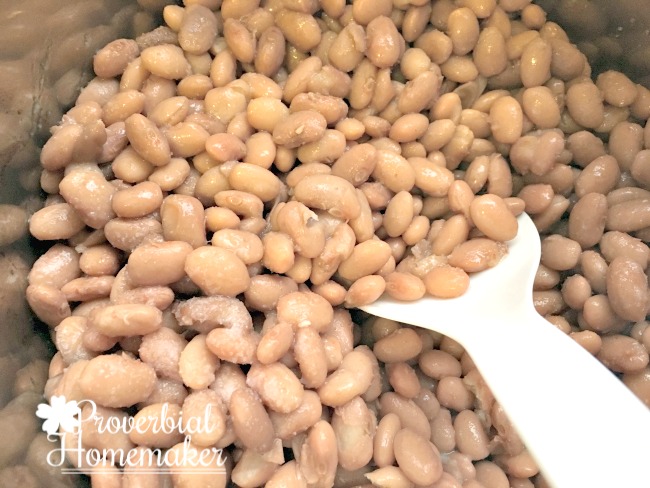 Make pinto beans in bulk for a great Instant Pot batch cooking idea!