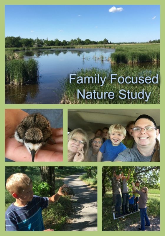 Take an fun and relaxed approach to homeschool science with family focused nature studies!